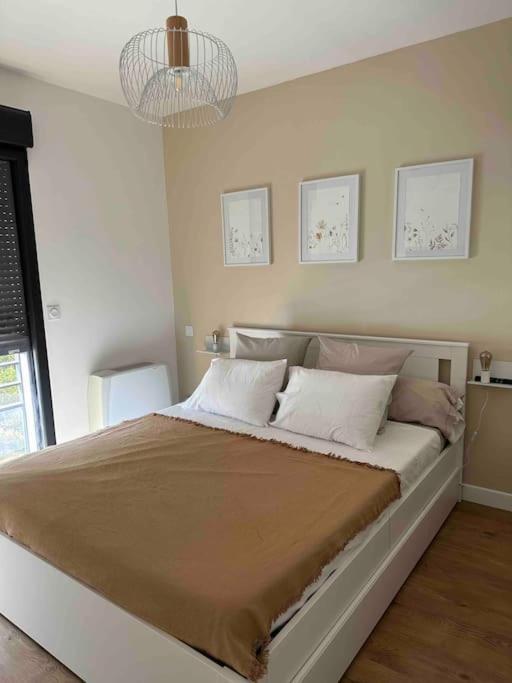 Apartamento Magnifique T2 Ajaccio Ajaccio  Exterior foto